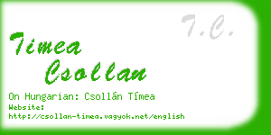 timea csollan business card